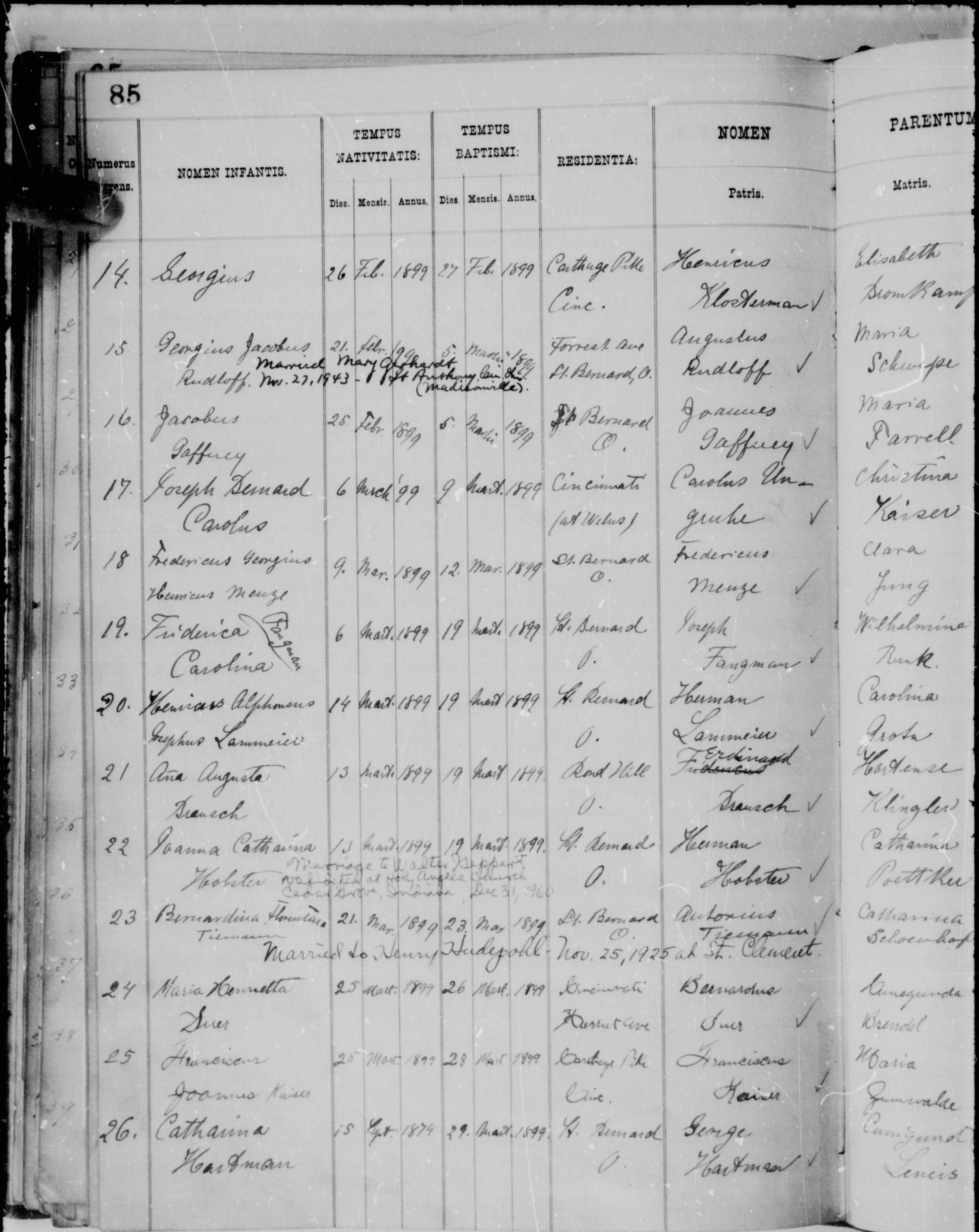 James William Gaffney Birth and Baptism Record