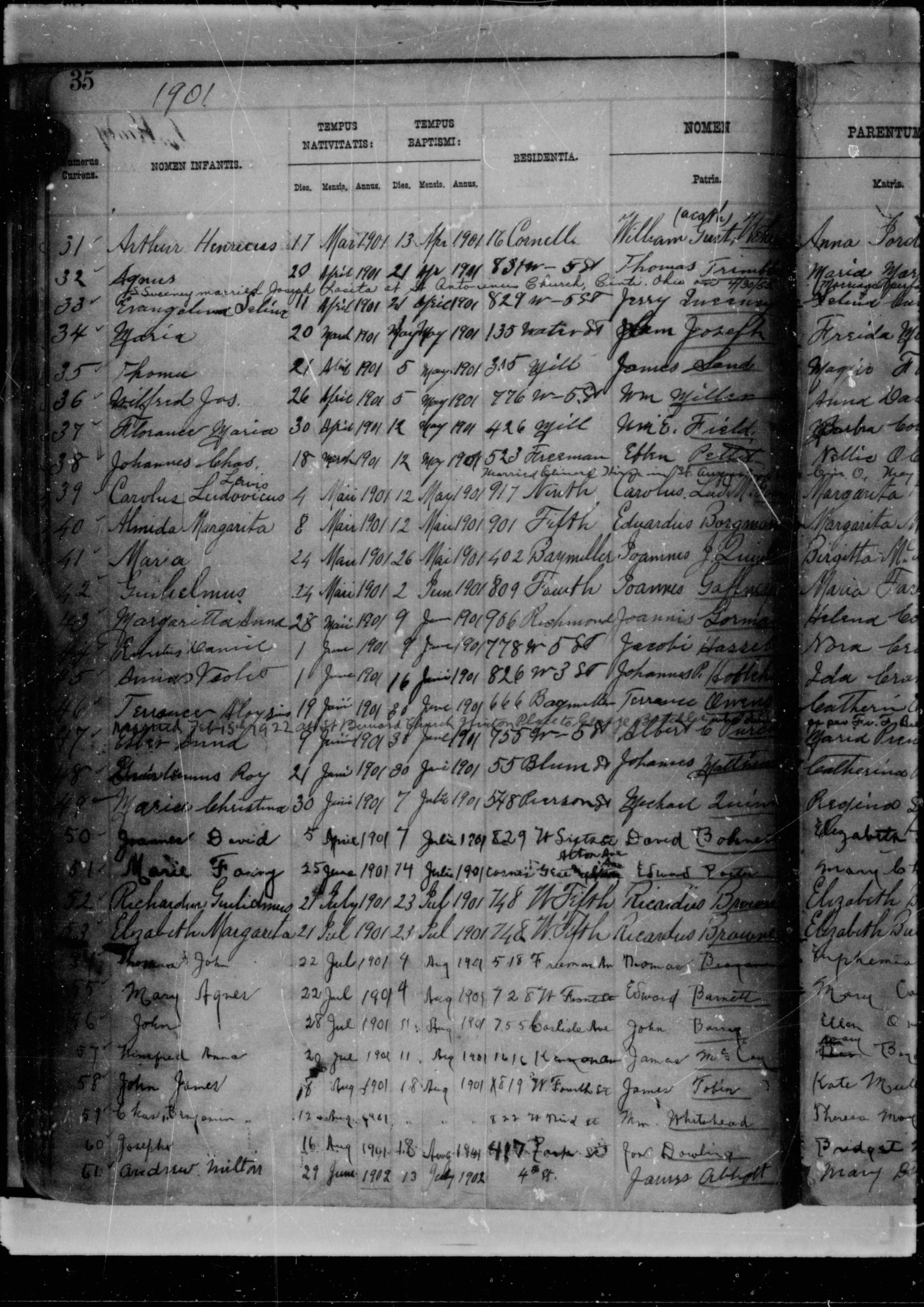 William Patrick Gaffney Baptism Record, 1901