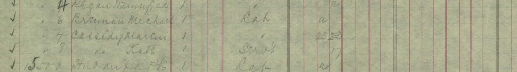 SS Umbria manifest — zoomed view of Martin Cassidy and Catherine's handwritten entry